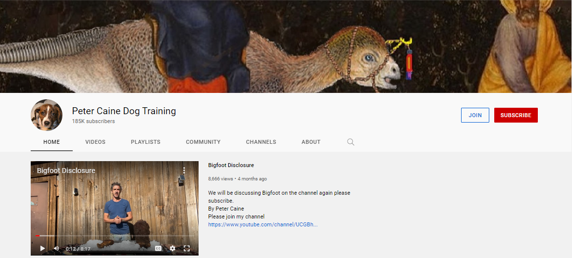 15 Best Dog Training YouTube Channels Best for Beginners UpViews Blog