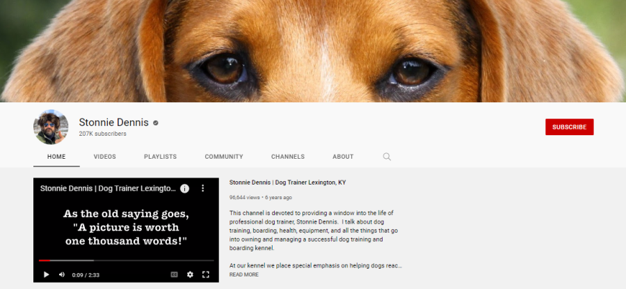 worstelen Gangster kromme 15 Best Dog Training YouTube Channels: Best for Beginners - UpViews - Blog