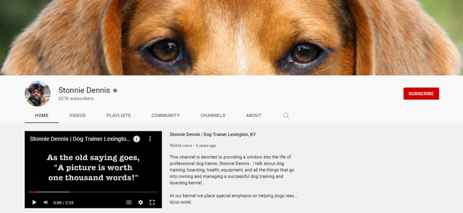 15 Best Dog Training YouTube Channels Best for Beginners