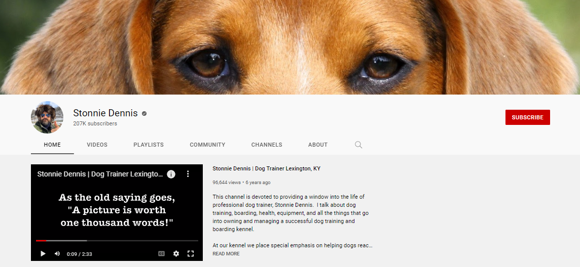 15 Best Dog Training YouTube Channels Best for Beginners UpViews Blog