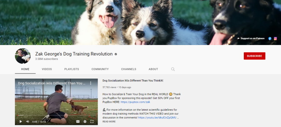 worstelen Gangster kromme 15 Best Dog Training YouTube Channels: Best for Beginners - UpViews - Blog