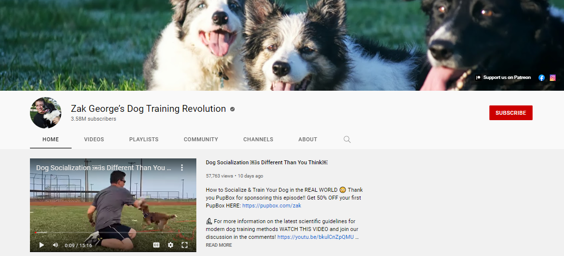 15 Best Dog Training YouTube Channels Best for Beginners UpViews Blog